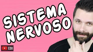 SISTEMA NERVOSO  FISIOLOGIA  Aula  Biologia com Samuel Cunha [upl. by Giesser]