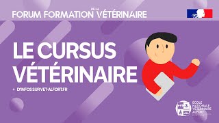 Conférence FFVET24 Le cursus vétérinaire [upl. by Rol611]