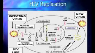 Basic Course in HIV  Pathophysiology and Natural History of HIV Infection [upl. by Eelloh689]